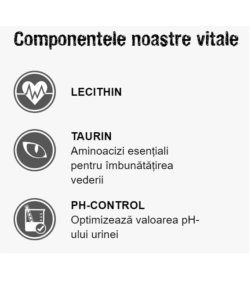 Componente Leonardo Adult Complete 32/16