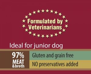 imagine informativa Carnevale plic Puppy