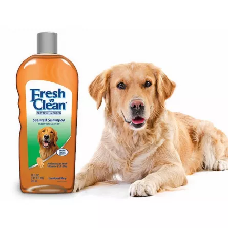 Fresh'n Clean Sampon Scented 533 ml