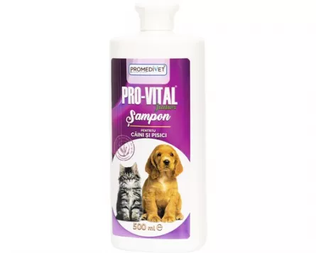Promedivet Pro Vital Sampon Junior 200 ml
