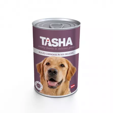 Tasha dog cons ficat 1240 G