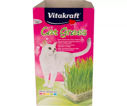 Vitakraft iarba pisicii 120 g